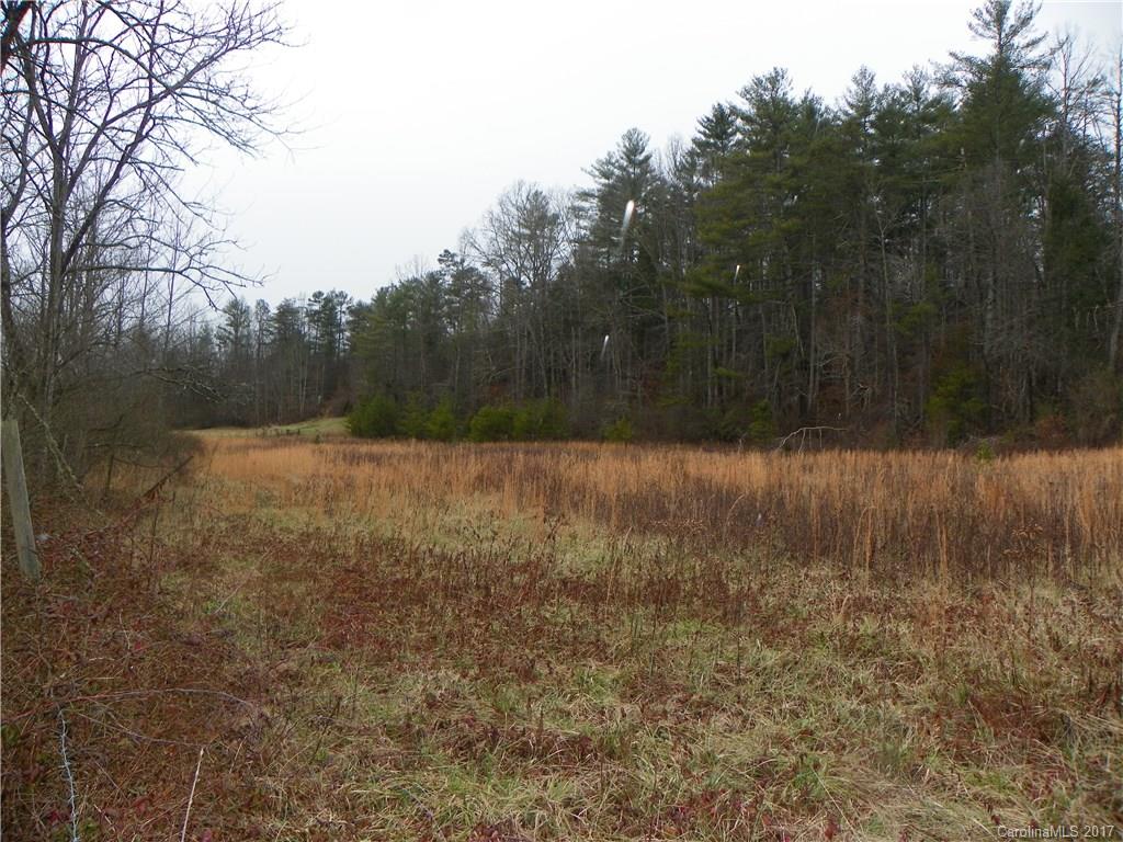 12 Indian Camp Branch Road Weaverville NC 28787
