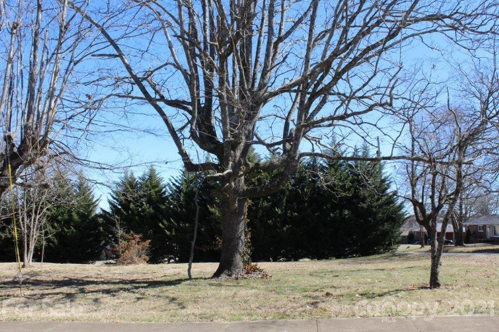207 Park Avenue Morganton NC 28655