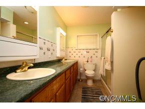 33 Mineral Springs Road Asheville NC 28805
