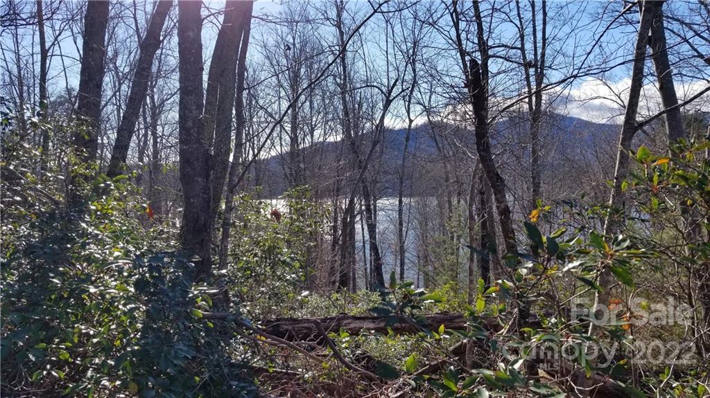 Thomas Drive Lake Lure NC 28746
