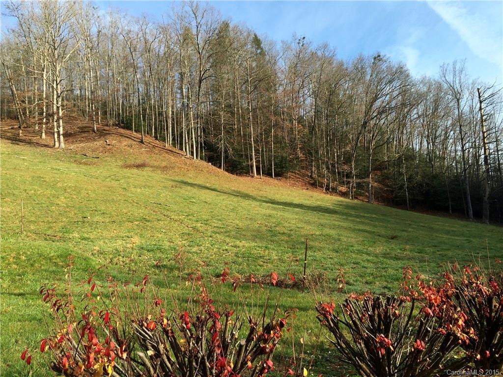 2034 Catawba River Road Old Fort NC 28762