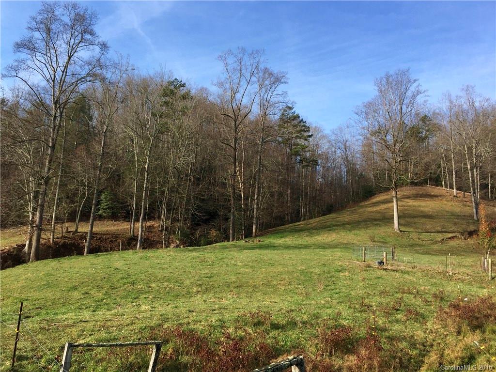 2034 Catawba River Road Old Fort NC 28762