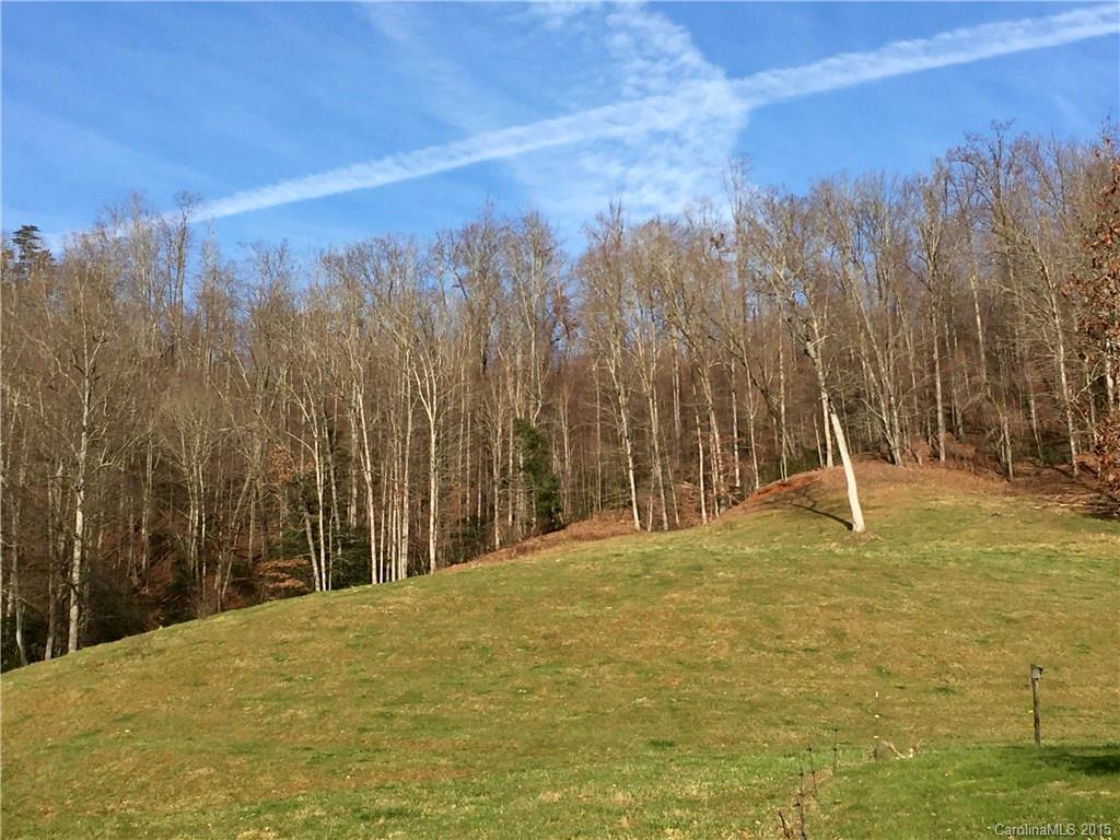 2034 Catawba River Road Old Fort NC 28762