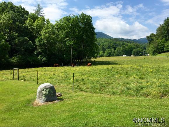 2034 Catawba River Road Old Fort NC 28762