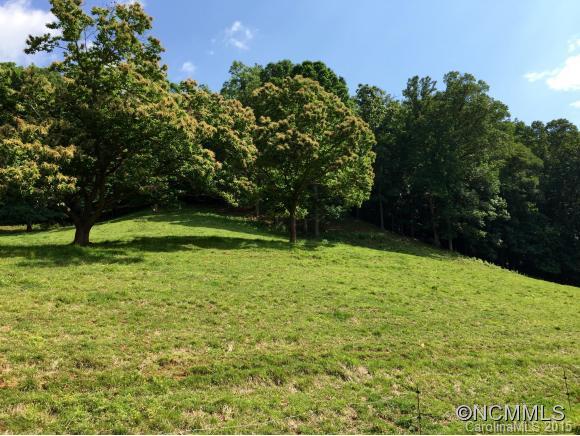 2034 Catawba River Road Old Fort NC 28762