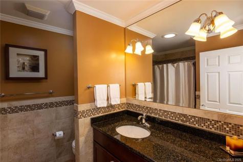 48 Alpine Way Asheville NC 28805