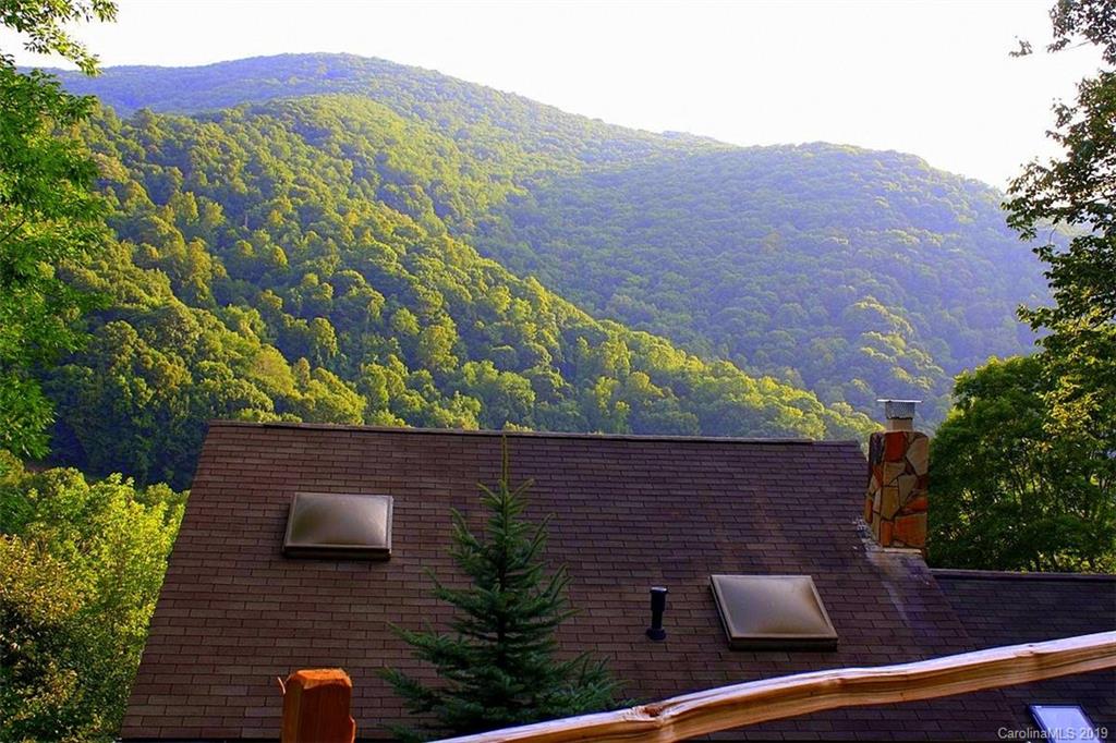 436 Puncheon Lane Mars Hill NC 28754