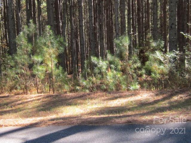 3010 E Paradise Harbor Drive Connelly Springs NC 28612