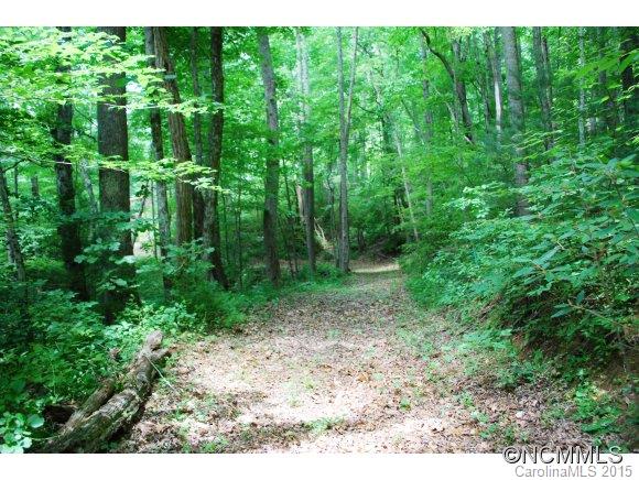 49 Leisure Lane Swannanoa NC 28778