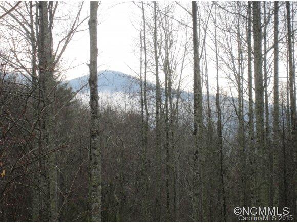49 Leisure Lane Swannanoa NC 28778