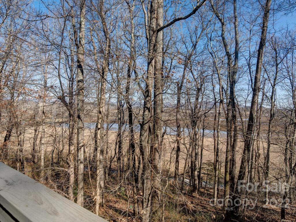 165 Farm Lane Mills River NC 28759