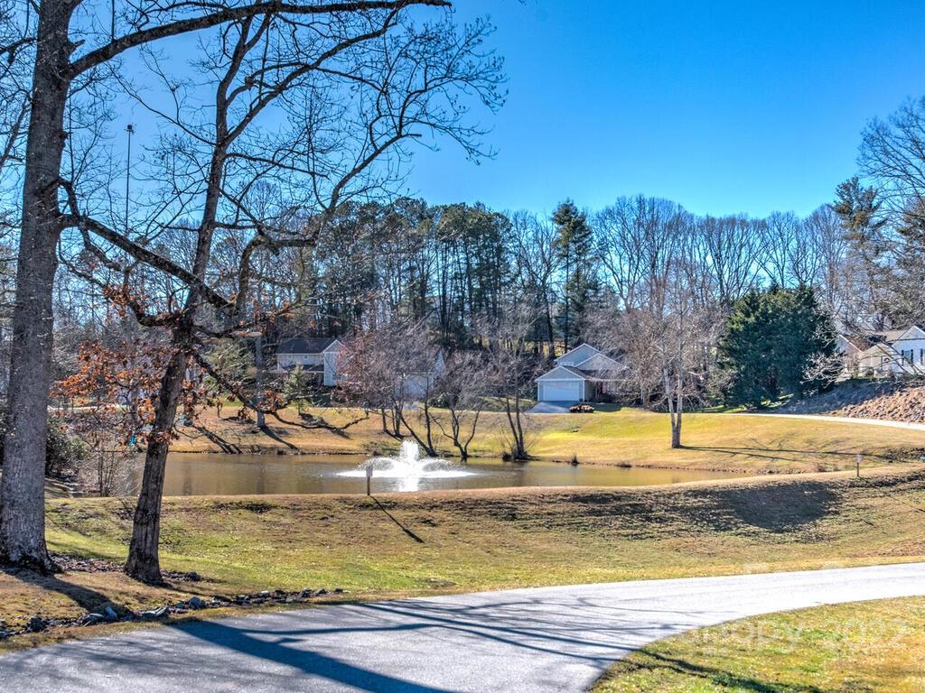 165 Farm Lane Mills River NC 28759