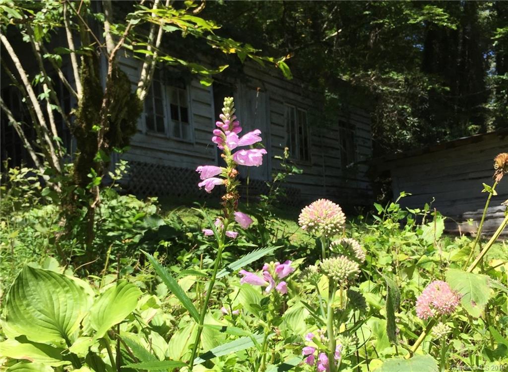66 Rush Creek Road Black Mountain NC 28711