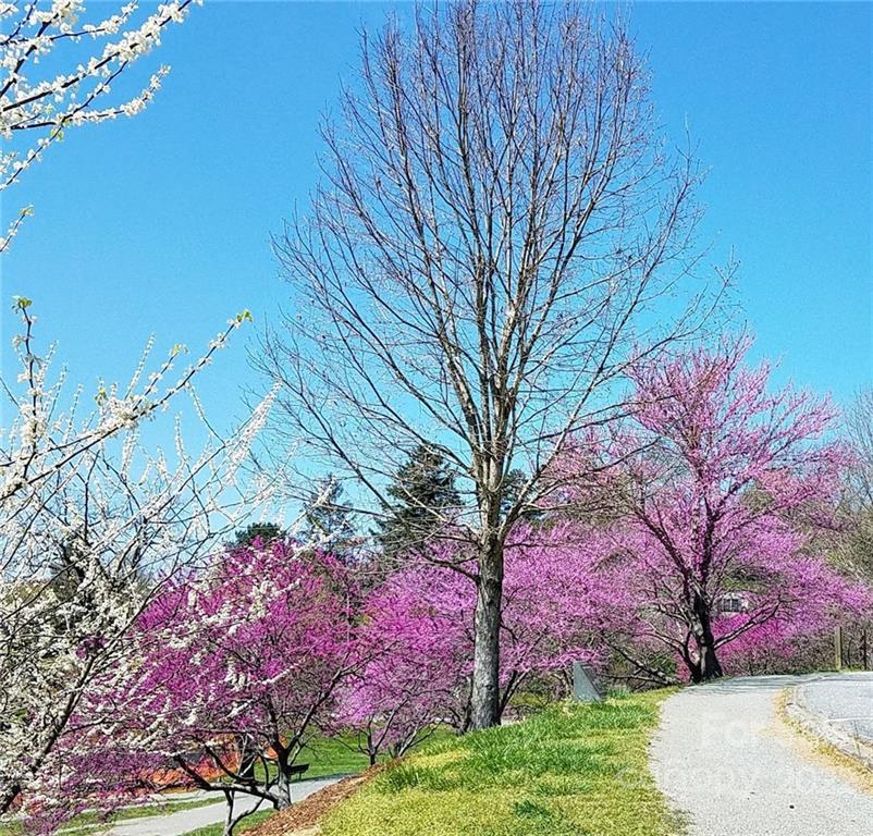 52 Brown Street Weaverville NC 28787
