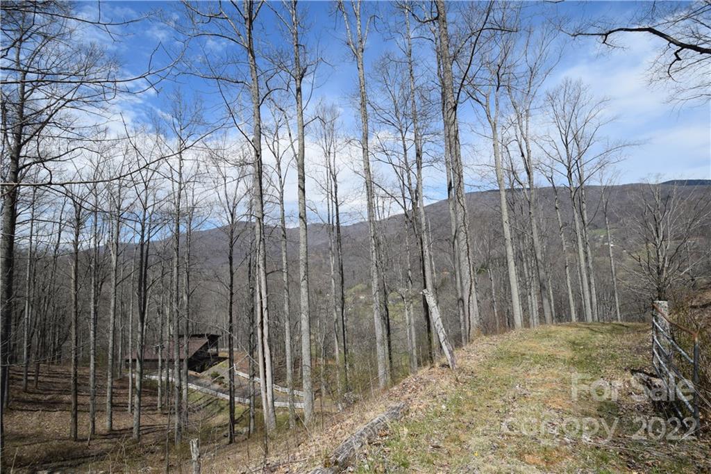 4350 Highway 261 Bakersville NC 28705