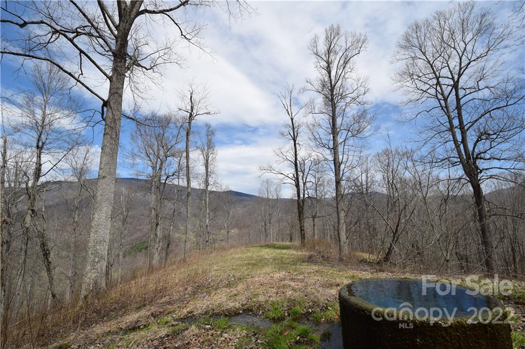 4350 Highway 261 Bakersville NC 28705