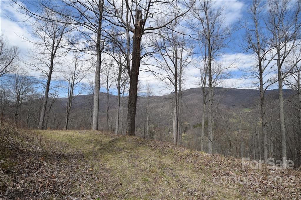 4350 Highway 261 Bakersville NC 28705