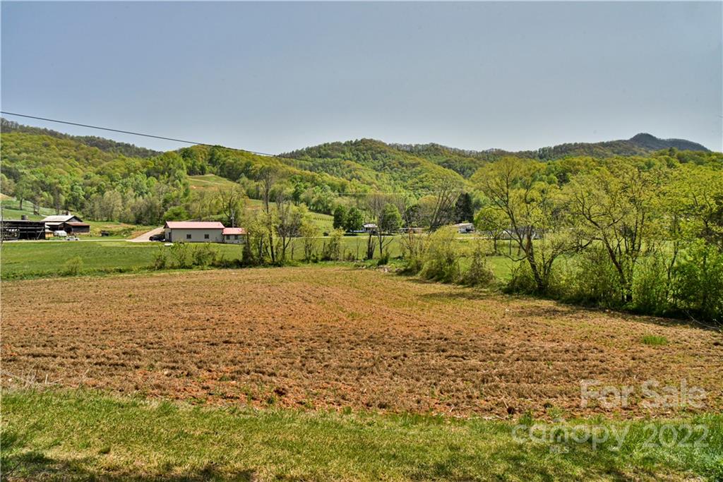 28 Brooks Branch Road Leicester NC 28748