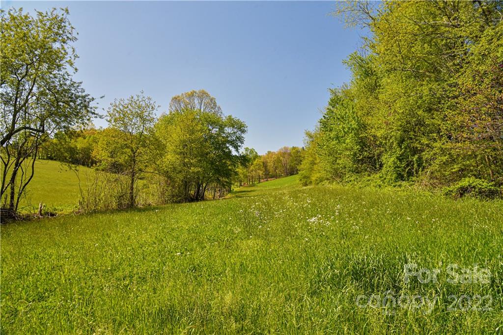 28 Brooks Branch Road Leicester NC 28748