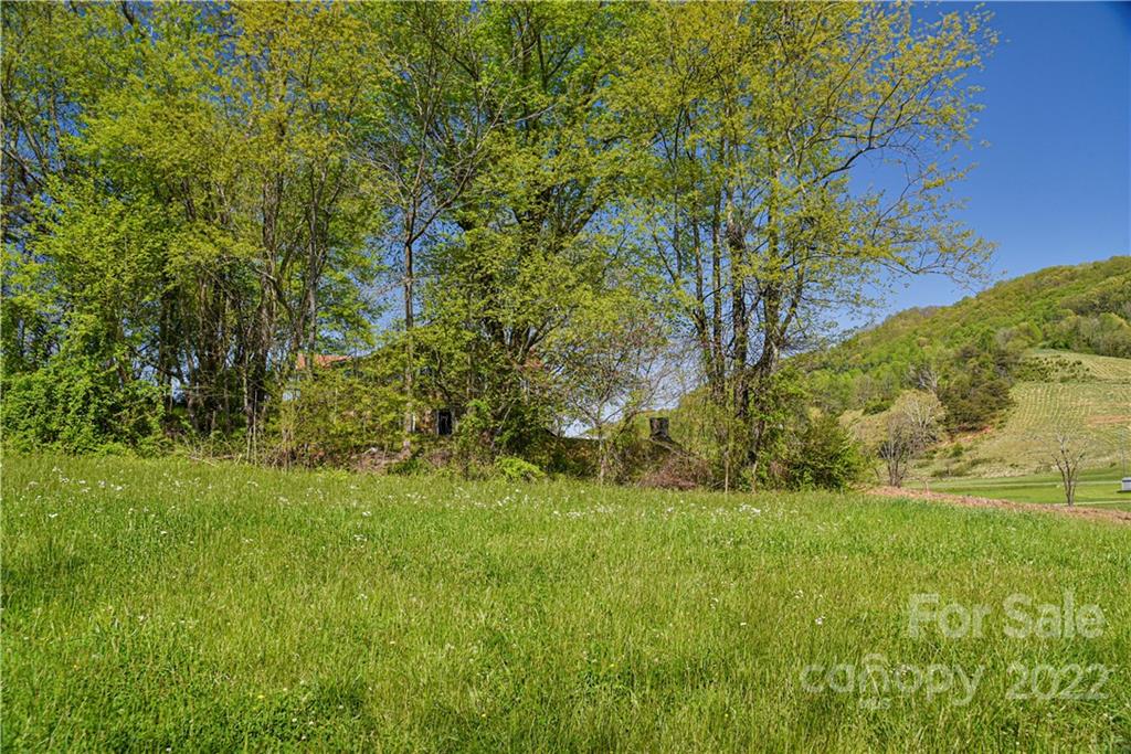 28 Brooks Branch Road Leicester NC 28748