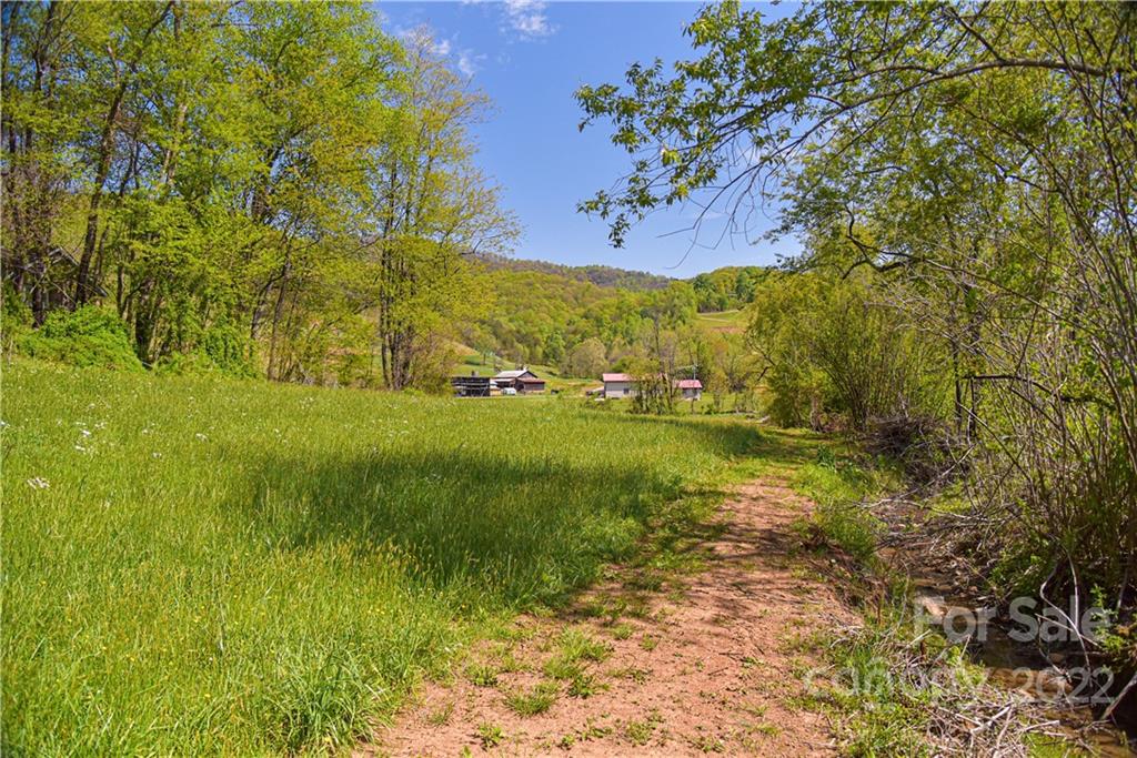 28 Brooks Branch Road Leicester NC 28748