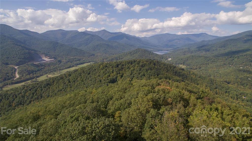 337 Pinnacle Drive Black Mountain NC 28711