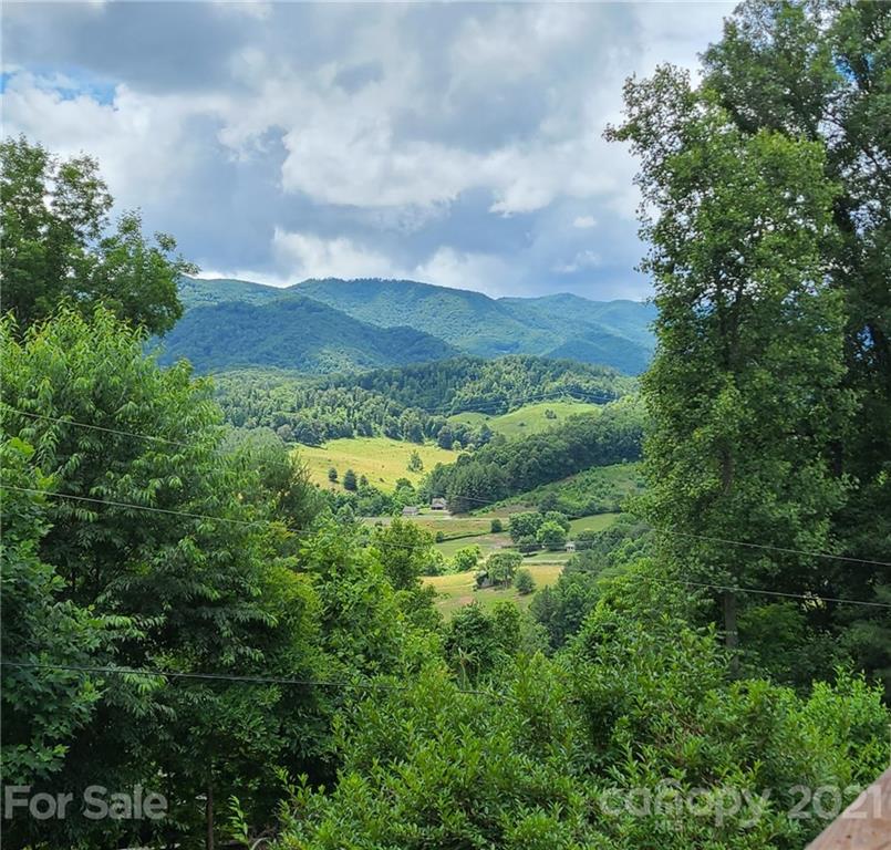 693 Blackberry Ridge Road Burnsville NC 28714