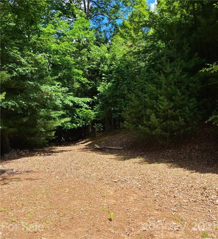 693 Blackberry Ridge Road Burnsville NC 28714