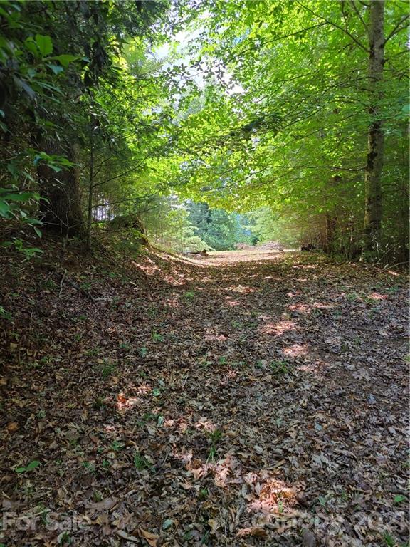 693 Blackberry Ridge Road Burnsville NC 28714