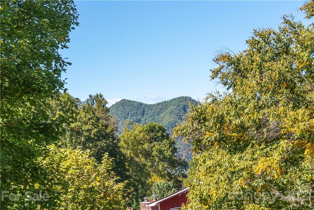 358 Apple Tree Court Waynesville NC 28786
