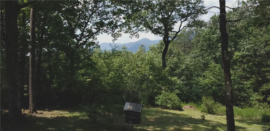 128 Pearson Circle Lake Lure NC 28746