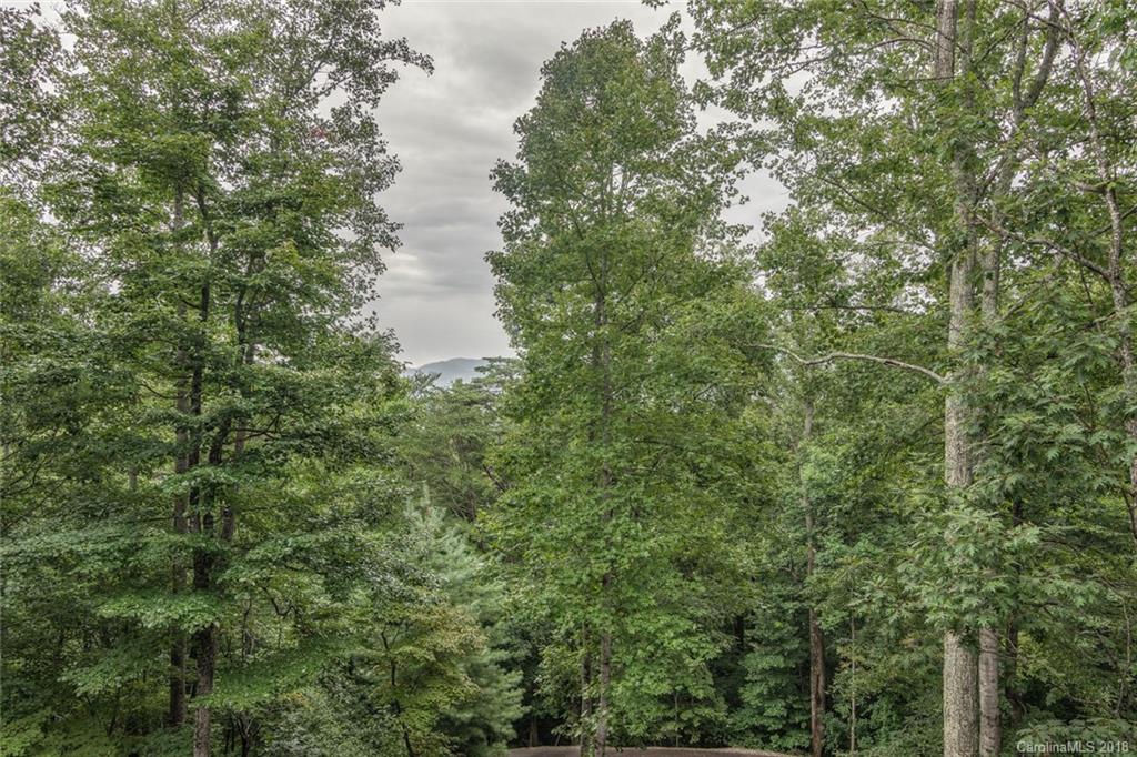 37 Hope View Road Swannanoa NC 28778