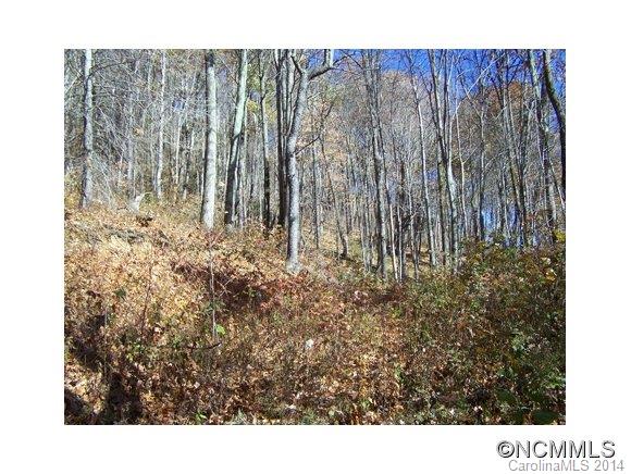 Lot 334 Living Good Lane Waynesville NC 28786