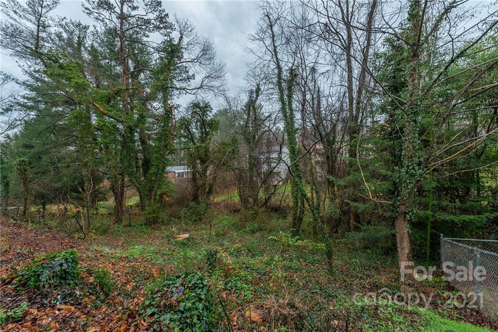 204 Aurora Drive Asheville NC 28805