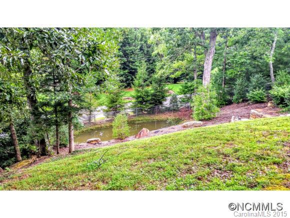 30 Spring Hill Drive Asheville NC 28804