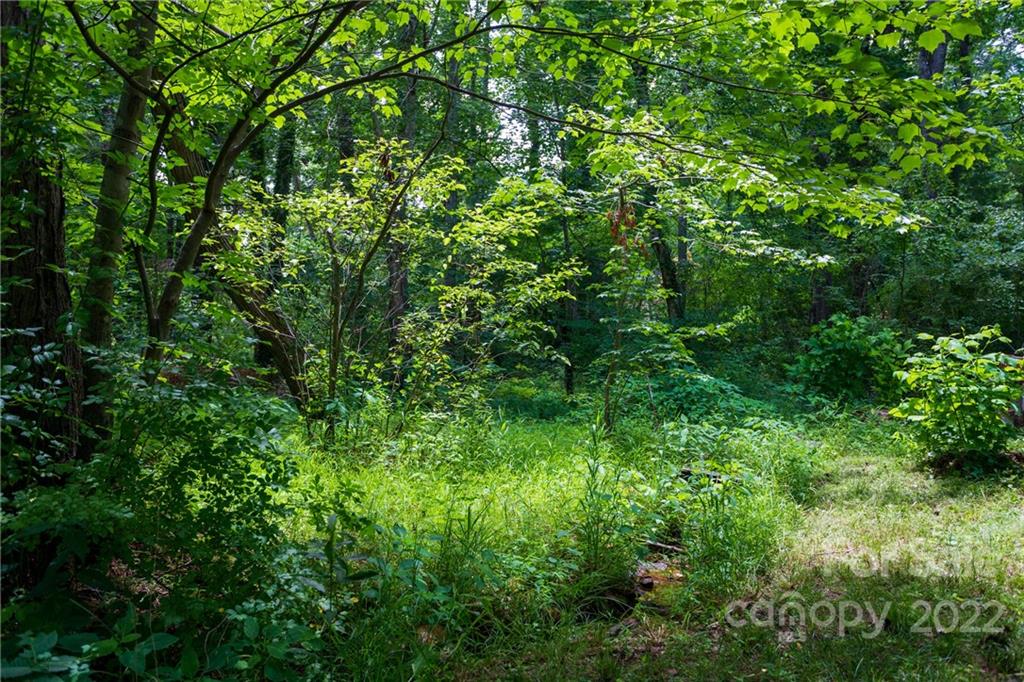 1 Swanger Road Asheville NC 28805