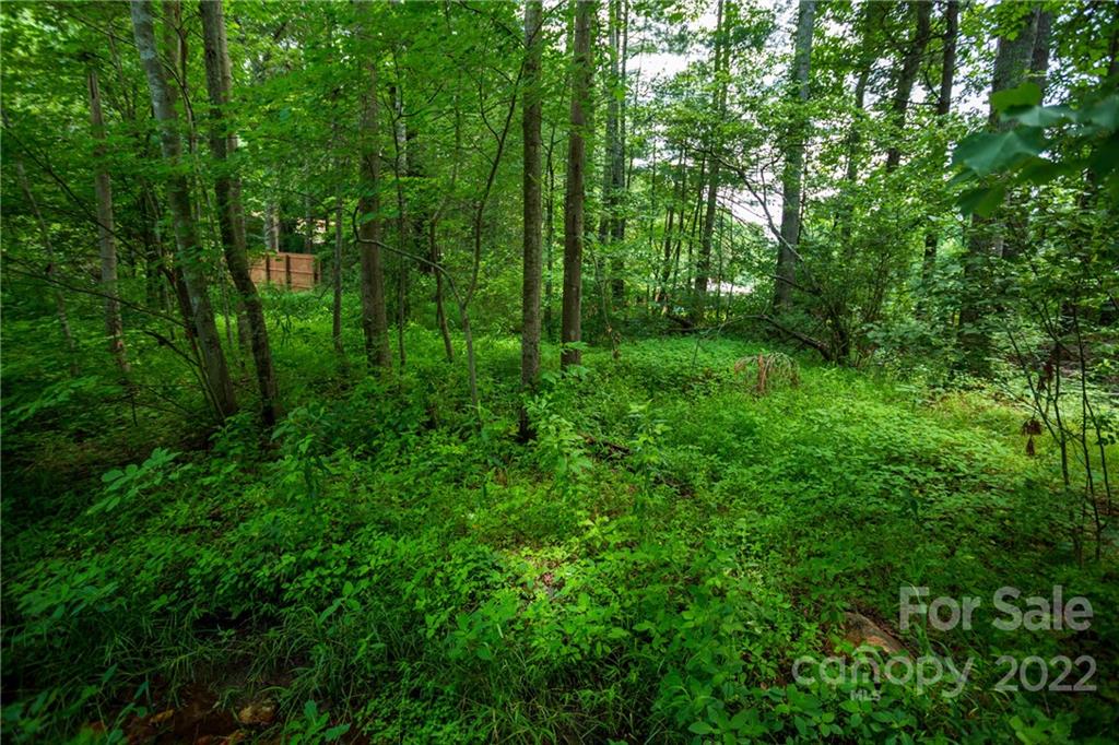 1 Swanger Road Asheville NC 28805