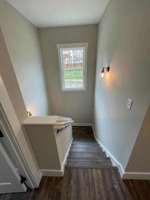 100 Locust Street Black Mountain NC 28711