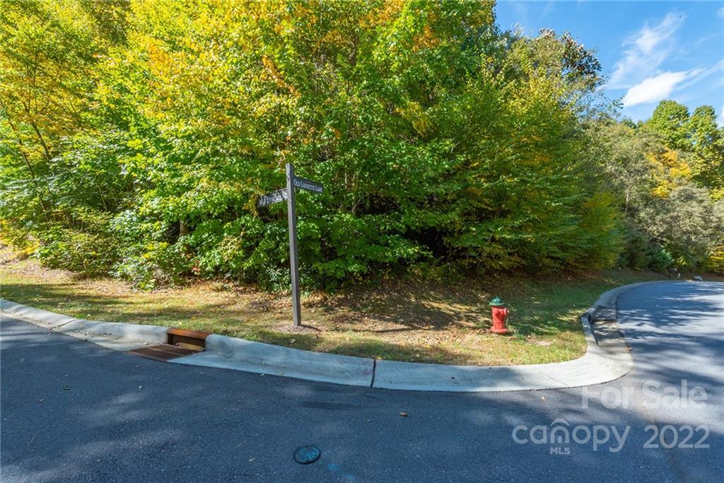67 Old Lafayette Lane Black Mountain NC 28711