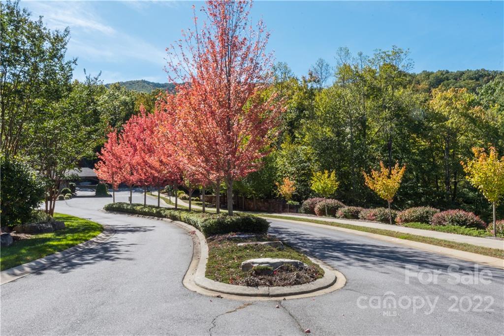 67 Old Lafayette Lane Black Mountain NC 28711