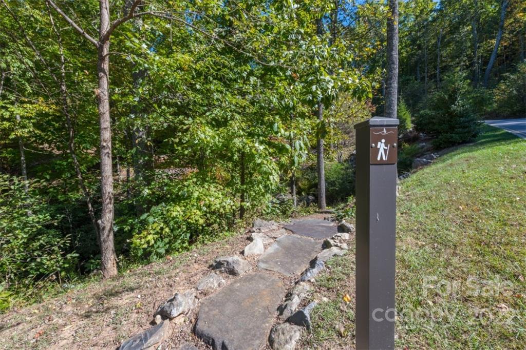 67 Old Lafayette Lane Black Mountain NC 28711