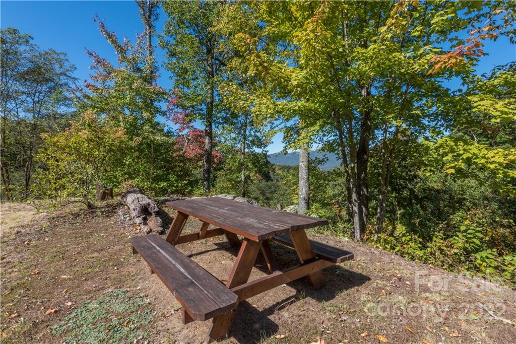 67 Old Lafayette Lane Black Mountain NC 28711