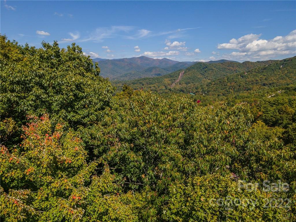 67 Old Lafayette Lane Black Mountain NC 28711