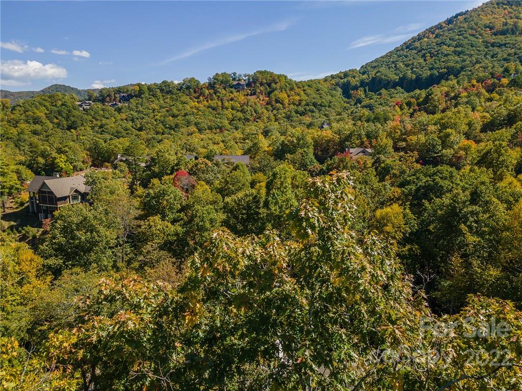 67 Old Lafayette Lane Black Mountain NC 28711