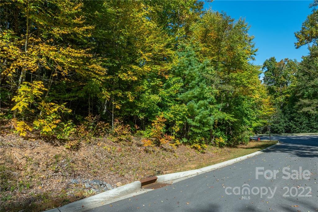 67 Old Lafayette Lane Black Mountain NC 28711