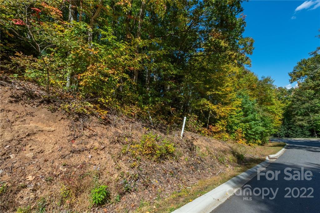 67 Old Lafayette Lane Black Mountain NC 28711
