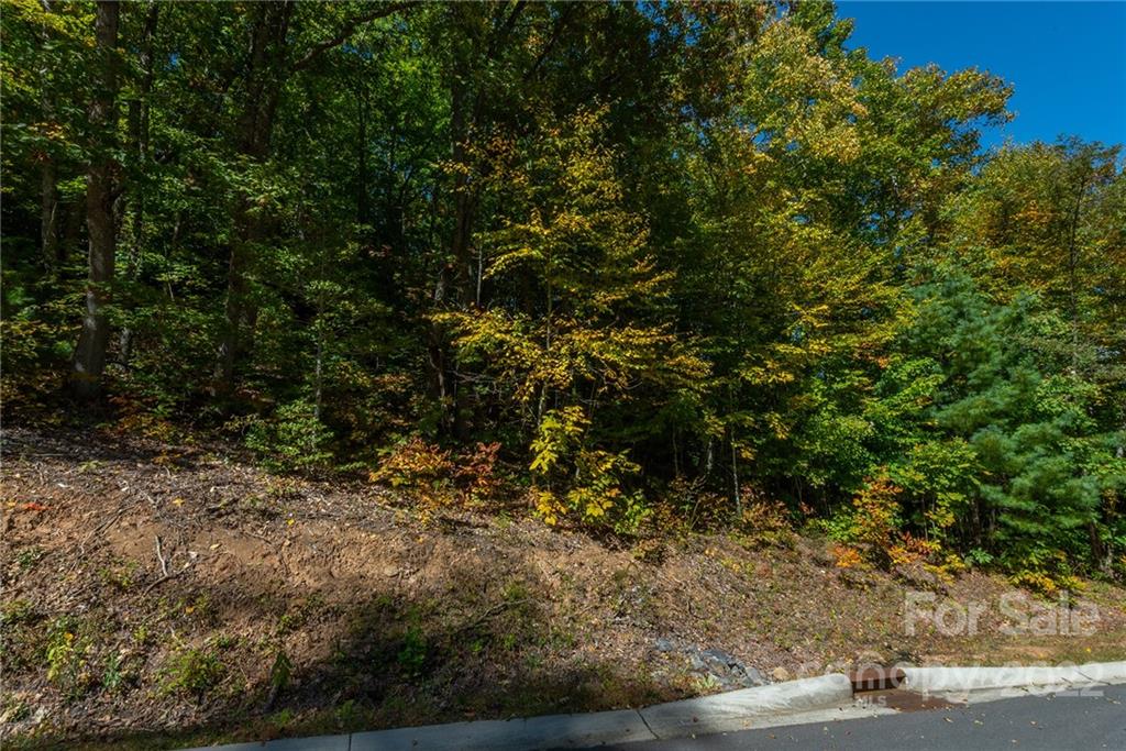 67 Old Lafayette Lane Black Mountain NC 28711