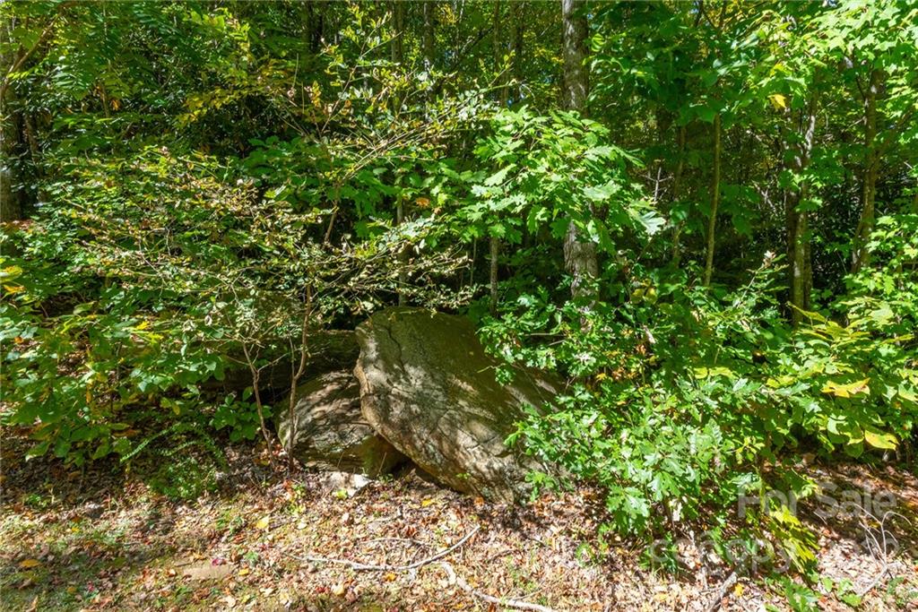 67 Old Lafayette Lane Black Mountain NC 28711