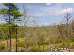5 Timber Moss Drive Asheville NC 28804
