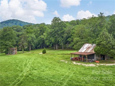 959 Dave Whitaker Road Horse Shoe NC 28742